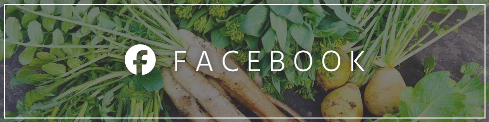 FACEBOOKはこちら