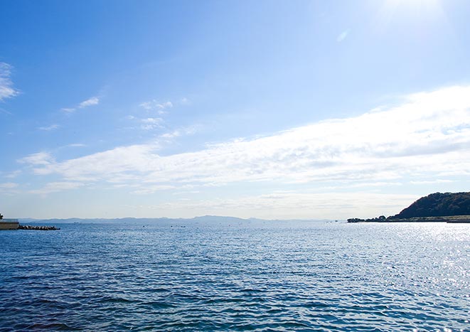 海の写真