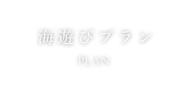 海遊びプラン