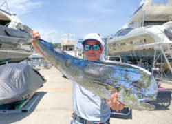 釣果情報／2024年7月